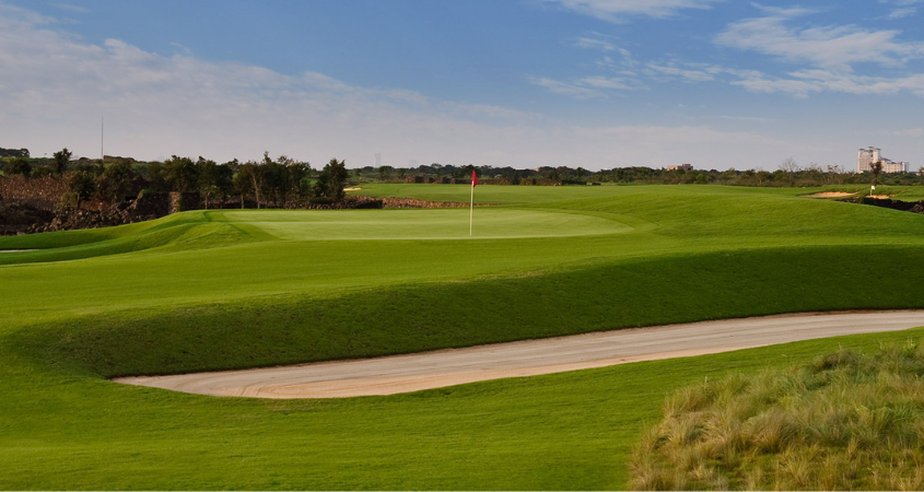 Meadow Links Course